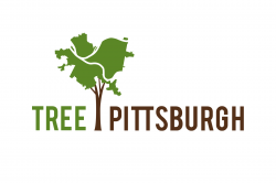 Tree Pittsburgh